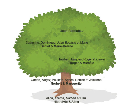 Arbre g&eacute;n&eacute;alogique des meuniers